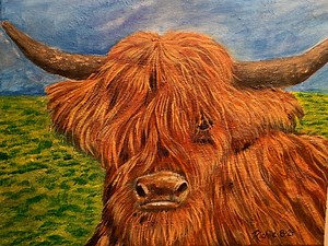 Scottish Highland Cow, Acrylic Painting, 11 X 14, Original Work - Etsy