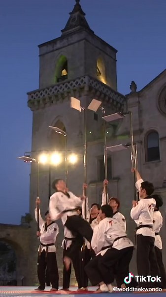 Incredible Tokyo 2020 Taekwondo Demonstrations