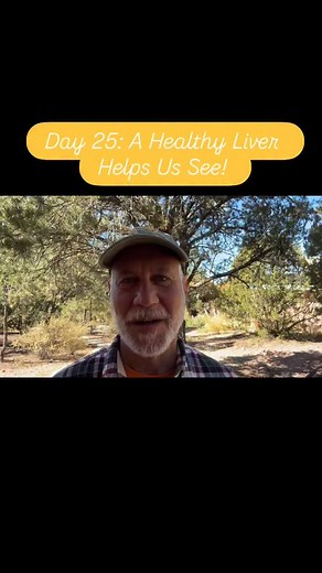 The liver is your eyes’ detox partner. 💚 Support your liver, and your vision clears — inside and out. Start with hydration, greens, and gentle movement — then take it deeper. Join my 5-week Online class, starting November 12th. Link is in my IG bio. #LiverDetox #ChineseMedicine #EyeHealth #HolisticVision #FunctionalVision #SeeDifferently #VisionHealing #HolisticOptometry #DrSamBerne | Dr. Sam Berne
