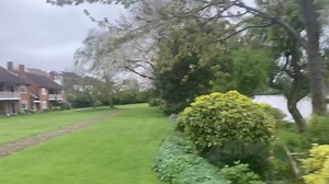 Bas Congo goûts | BANA MBOKA