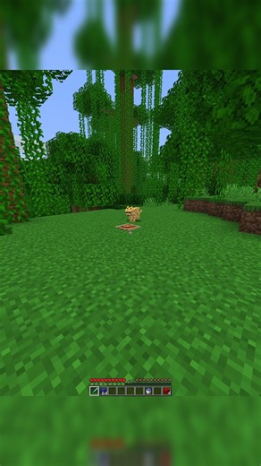Algorithmics on Instagram: "Minecraft Cat Chase! #minecraft"
