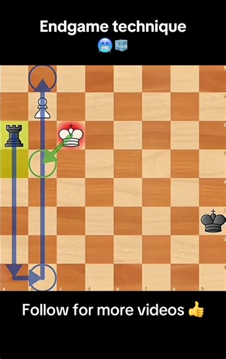♟️End game technique 🤩✨ #chesstok #technique #endgame #fypシ #foryoupage