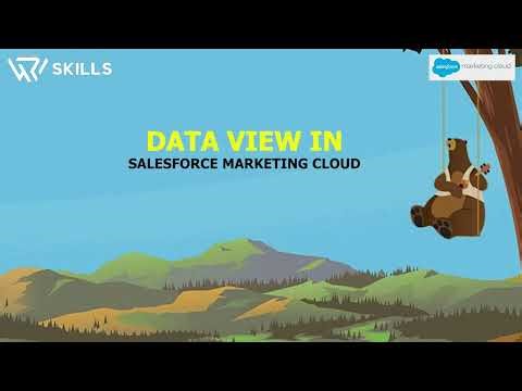 Data Views in Salesforce Marketing Cloud (SFMC) | | Peoplewoo Skills