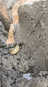 Best Eel Fishing Video #eelfishing #fishing2025 #fbreels | Daily Fishing Life