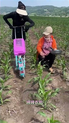 Amazing Corn Field Fertilizer Machine 🚜 Save Time & Labor for Farmers! #Shorts #FertilizerMachine