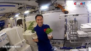 187K views · 1.7K reactions | The three astronauts aboard China's Shenzhou-20 spaceship - Chen Dong, Chen Zhongrui, and Wang Jie - carried out a series of tasks within the Tiangong space station last week, including space science experiments, a full-system pressure emergency drill, and equipment inspections and maintenance. https://www.cctvplus.com/news/20250518/8428667.shtml#!language=1 | CCTV+ | Facebook