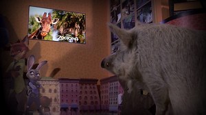 Who’s excited to see Zootopia in just TWO DAYS? This video is a quick look at the real “stars” of the behind-the-scenes video in a special Zootopia exhibit at Rafiki’s Planet Watch. The exhibit and behind-the-scenes video showcase the in-depth research trip filmmakers took to Disney’s Animal Kingdom Theme Park in 2014. Read more from Dr. Mark on the Disney Parks Blog here: http://bit.ly/1L66oAD | Disney's Animals, Science and Environment