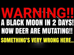 Strange Videos That I Cannot Explain