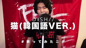 日本の曲を韓国語で歌ってみたニダ。猫 / DISH//#おすすめにのりたい #歌うま #歌ってみた #歌ってみたニダ