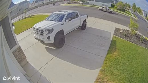 allfails on Instagram: "One of the wildest videos I’ve seen 😳 (Via @dailydoseofinternet)"