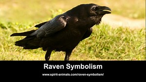 Raven Symbolism