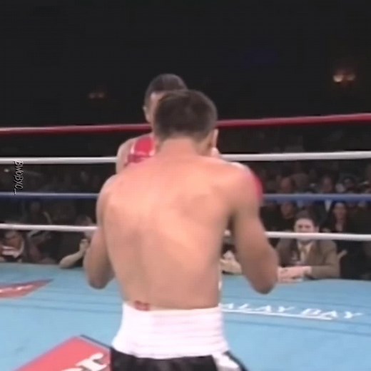 Intense Boxing Match Highlights: Red vs. White Gloves