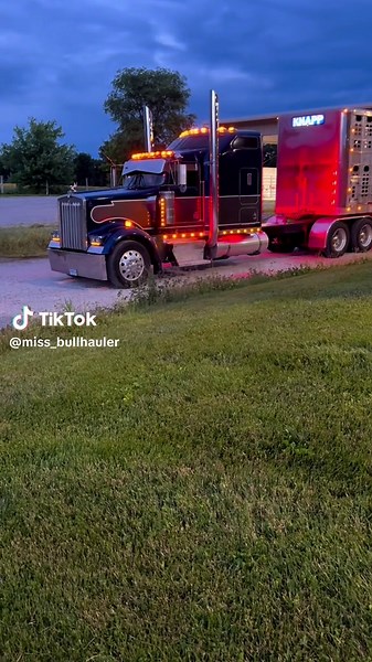 Life of a Cattle Hauler: A Blue Collar Journey