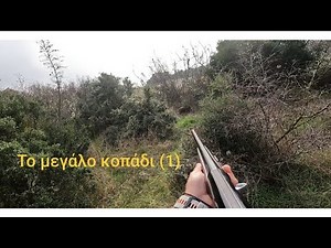Κυνήγι αγριογούρουνου στον Έβρο -Το μεγάλο κοπάδι (1) Hunting wild boar