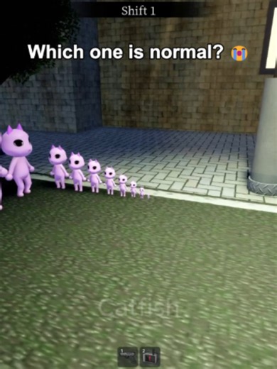 Animal Hospital Roblox: Which Pet Behavior Is Normal?