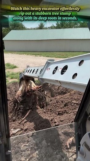 Watch Powerful Excavator Effortlessly Remove Massive Deep Tree Stump