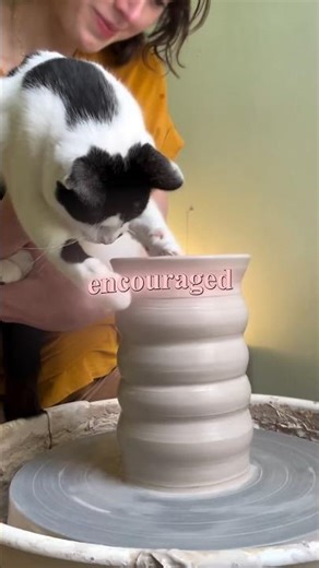 Her Cat Tried Making Pots... And They Sold Out Instantly 😺