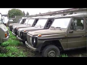 Pinzgauer