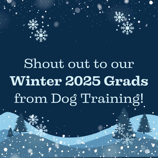 ❄️🎉❄️Shout out to our Winter 2025 Graduates from The Palms Academy! ❄️🎉❄️ . . . . #wintervibes #winterseason #wintergrad #dogloversofinstagram #dogtricks101 #dogtraining #positivetraining #dogtrainingnearme #dogtraining101 #sanantoniotexas #helotestx #petresort | The Palms Pet Resort & Spa