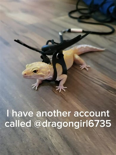 #CapCut I will be posting on both accounts