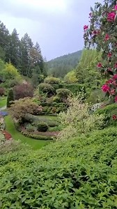 15 reactions | A must-see garden oasis in the beautiful capital city of British Columbia, is the Butchart Gardens  It’s a sight that really needs to be seen in order to be believed. Check out this stunning video that CS Travel Director Dave captured during the private guest breakfast on the Canadian Rockies tour  Tell us, have you been to Canada before? | Costsaver Tours | Facebook