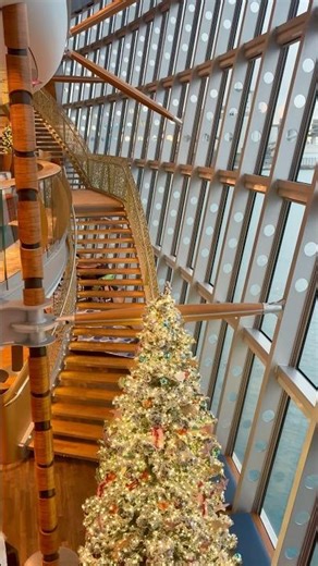 Frohe Weihnachten 🩵- die AIDAluna erstrahlt in besonderem Glanz ✨@AIDA