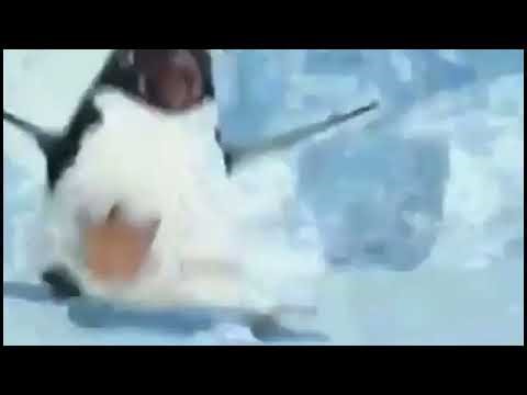 Cartoon Network LA en Cine Cartoon en Promo en (2014)