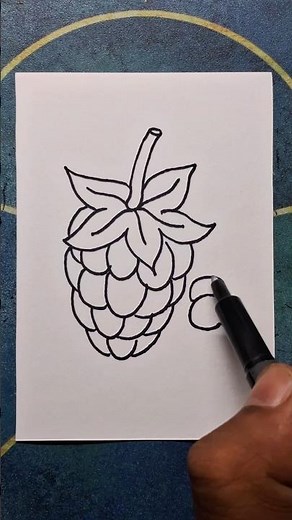 raspberry drawing, how to draw raspberry, fruit drawing