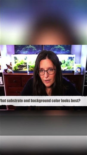 BIG Fish Tank Impact: Substrate & Background Guide