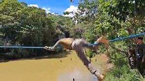 54K reactions · 2.7K shares | #commandocrawl #demonstration | Mark Pits Ranger | Facebook