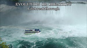 40K views · 1.7K reactions | EVOLUTION OR CREATION? Lifebreakthrough...