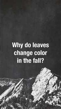 CUriosity: Why do leaves change color in the fall?