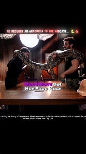 He Brought An Anaconda To The Podcast 🥶🩸#podcast #rajshamani #shorts