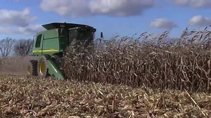 Truesight 2 is the most advanced row guidance system on the market. Do not let unfavorable conditions keep you from a successful harvest! SPONSORED BY: Headsight LINK: http://www.headsight.com/truesight-2 | Successful Farming