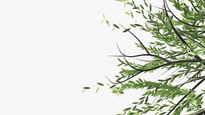 Tree Branches Blowing Wind Hd Animation Stock Footage Video (100% Royalty-free) 3486200831 | Shutterstock