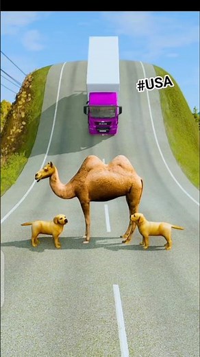 Beautiful Cars & Longer Bus vs Camel 3D Character Model #beamng #usagame #usa