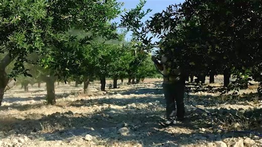 37 reactions | Waar begin sukses in die wêreld van landbou? In die grond! Rappid deur AECI Plant Health is 'n Ammonium polifosfaat kunsmis wat jou plant se energie natuurlik verhoog. Kontak André Cilliers by 082 499 6515 vir meer inligting. https://aeciph.com/product/edit-product-rappid #AECI #PlantHealth #Rappid #FarmSpace #OnsPraatBoer | FarmSpace | Facebook