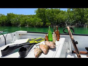 Spearfishing Mangrove Islands - Finding Old Relics - CCC