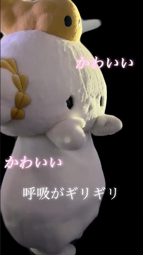 【かわいいが止まらない】ILLUMINANTを踊るこぎみゅん #サンリオ #こぎみゅん