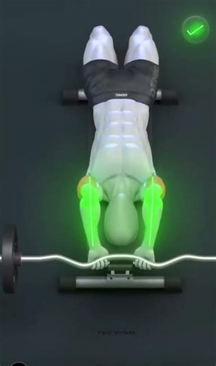 How to do a skullcrusher tricep workout correctly... #Shorts #ddunaski