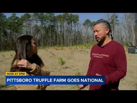 'Booming' Pittsboro business starts Truffle farm: Truffletopia