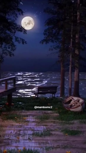 Moon River - Andy Williams (1962) #moonriver #andywilliams #1962 #oldlovesong #oldsonglover #liriklagu #lagubarat #music #mambomc2