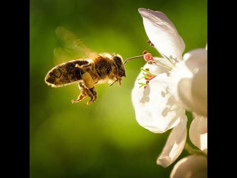 Reset Your Back To School Routine with the B-MAT Method