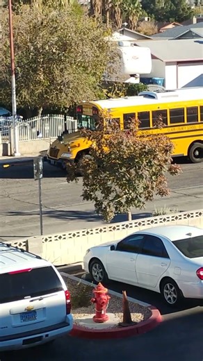 bus #225061 is back 2022 blue bird vision