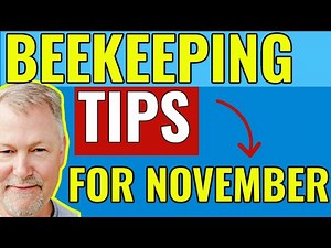 Beekeeping | How To Feed & Manage Your Bees In The Fall