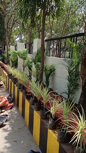 Green Formula Landscape and Gardening Solution on Reels