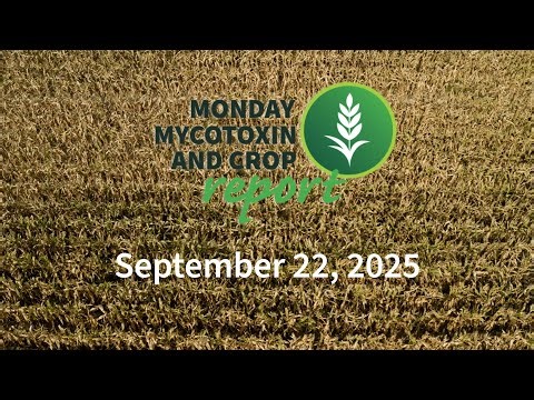 Monday Mycotoxin and Crop Report for September 22, 2025