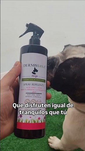 Protege a tu perro contra garrapatas, pulgas y mosquitos