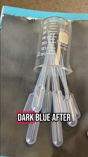 How cyanotypes were discovered #arthistory #cyanotype