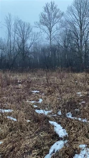 6.4K views · 63 reactions | My buck less than a minute before he expired in the river last day of the season last year #whitetail #deer #huntjng mdeerseason2022 #outdoors | Jake Outdoorz | Facebook